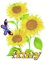 amy sun flower