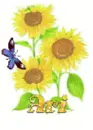 ari sun flower