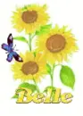belle sun flower