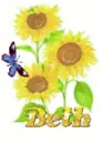 beth sun flower