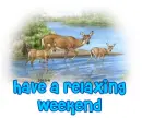have a relaxing weekend