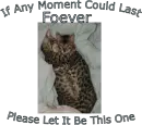 moments forever