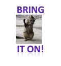 bring it on!