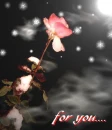 foryou