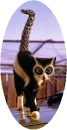 paintedcat-1