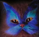 paintedcat-2