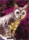 paintedcat-7