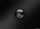 yin yang