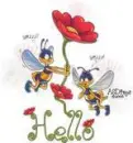 hello