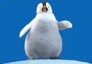 penguin feet
