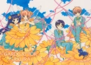 ccs