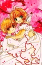 Cardcaptors