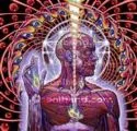 Tool