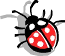 Ladybug
