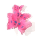 Pink Butterflys