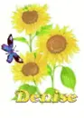 denise sun flower.