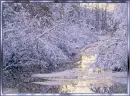 Beautifull