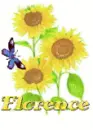 florence sun flower