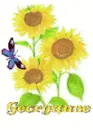 georganne sun flower