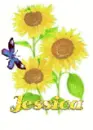 jessica sun flower