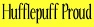 Hufflepuff Proud