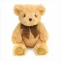 i love teddy bears