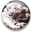 TIGERS