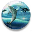 DOLPHINS