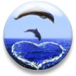 DOLPHIN LOVE