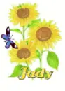 judy sun flower