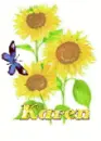 karen sun flower