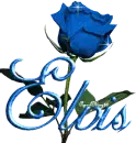 blue rose elvis