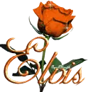 orange rose elvis