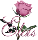 pink rose elvis