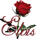 red rose elvis