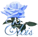 blue rose elvis