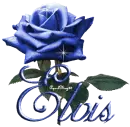 dark blue rose elvis