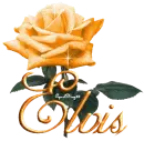 orange rose elvis