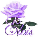 purple rose elvis