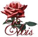 dark red rose elvis