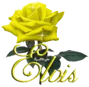 yellow rose elvis