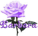 purple rose barbara