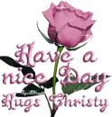 purple rose nice day christy