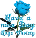 baby blue rose nice day christy