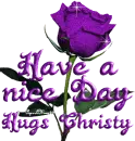 purple rose nice day christy