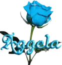 baby blue rose aggela
