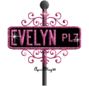 black hot pink street sign evelyn PLZ
