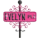 hot pink street sign evelyn PLZ