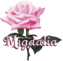 pink rose migdalia