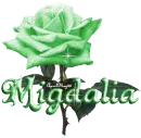green rose migdalia